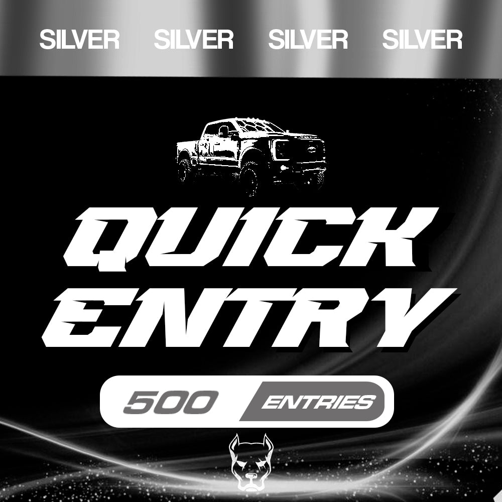 Quick Entry Silver - 500 ENTRIES